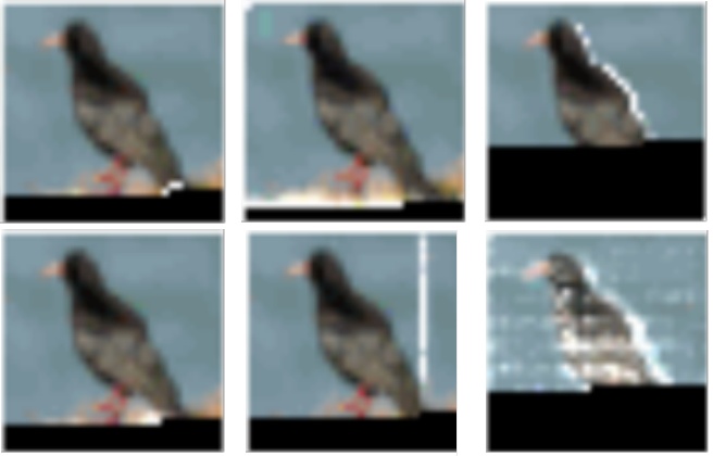 稀疏模式:局部(左),行/列(中),数据依赖/全局(非稀疏)(右)